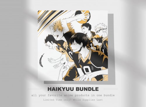 Haikyuu Bundle