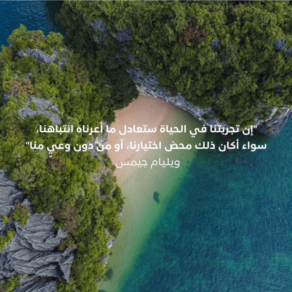 مواجهة التشتت