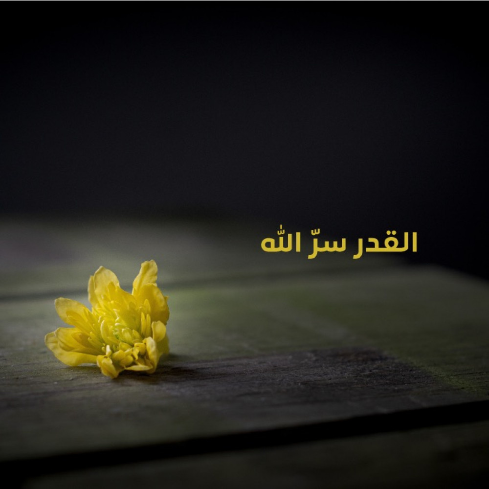 القدر سرّ الله