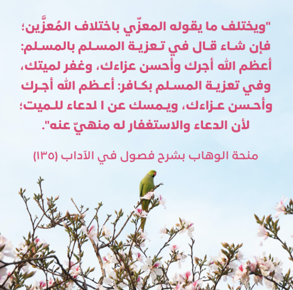 المتعلّم النبيل - منحة الوهّاب بشرح فصول في الآداب