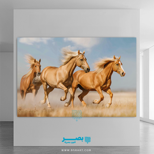 خيول 5