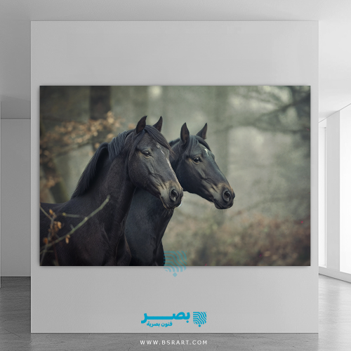 خيول 4