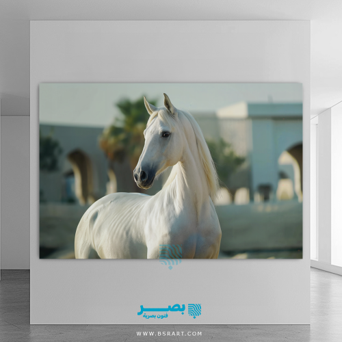 خيول 3