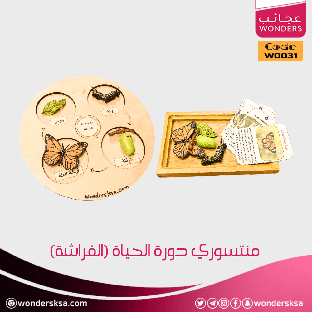 منتسوري دورة الحياة ومراحل النمو للحيوان للأطفال وحصص العلوم والأحياء