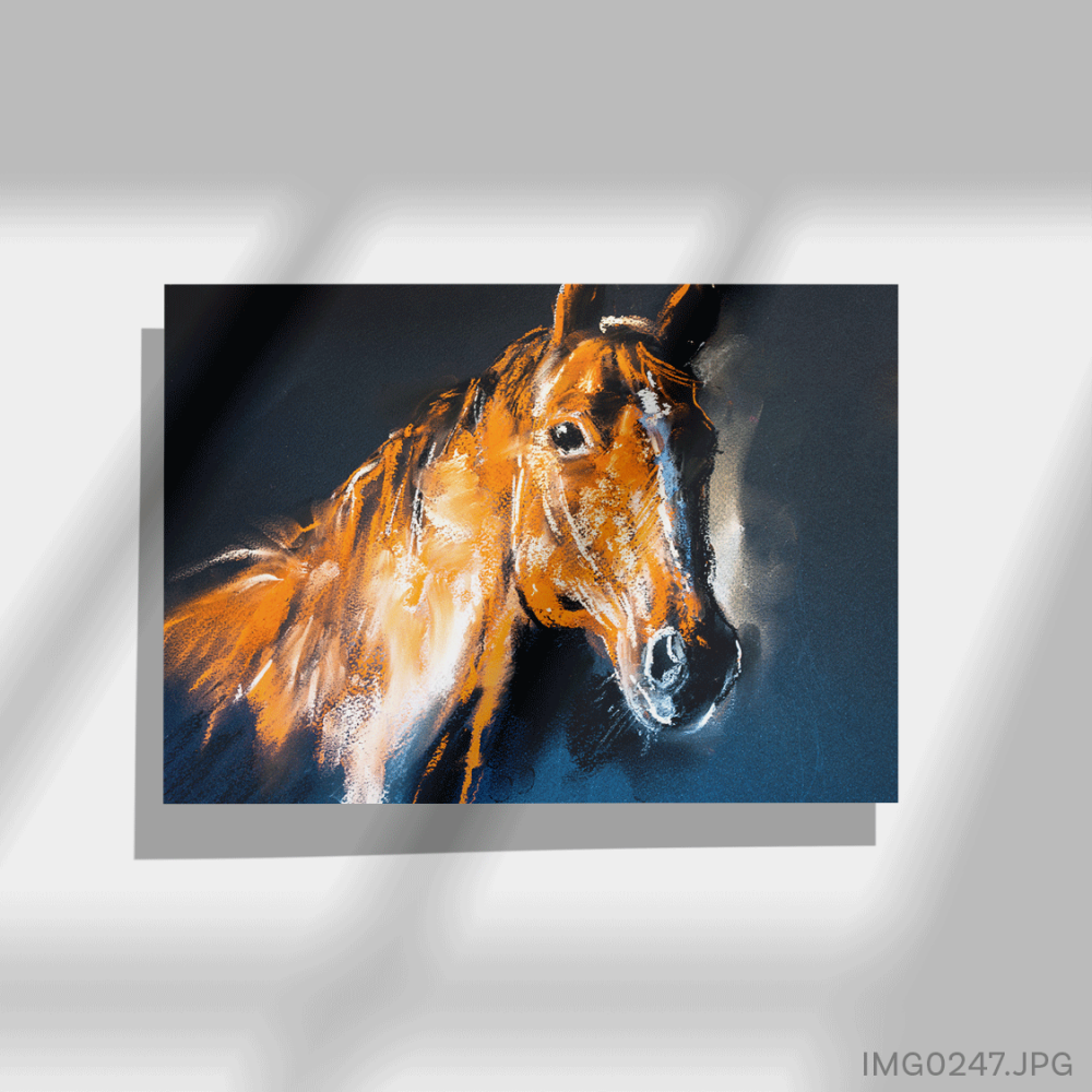 مندوب - (W-IMG0247)