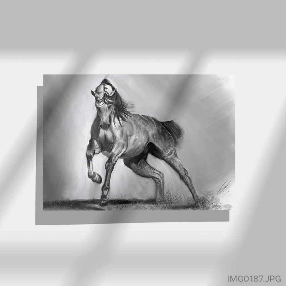 الحوى - (W-IMG0187)