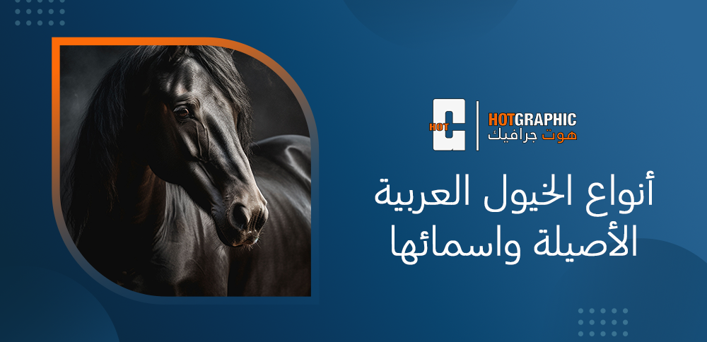أنواع الخيول العربية الأصيلة واسمائها