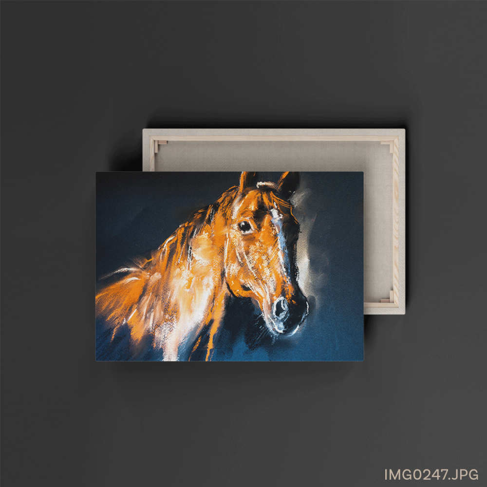 مندوب - (W-IMG0247)