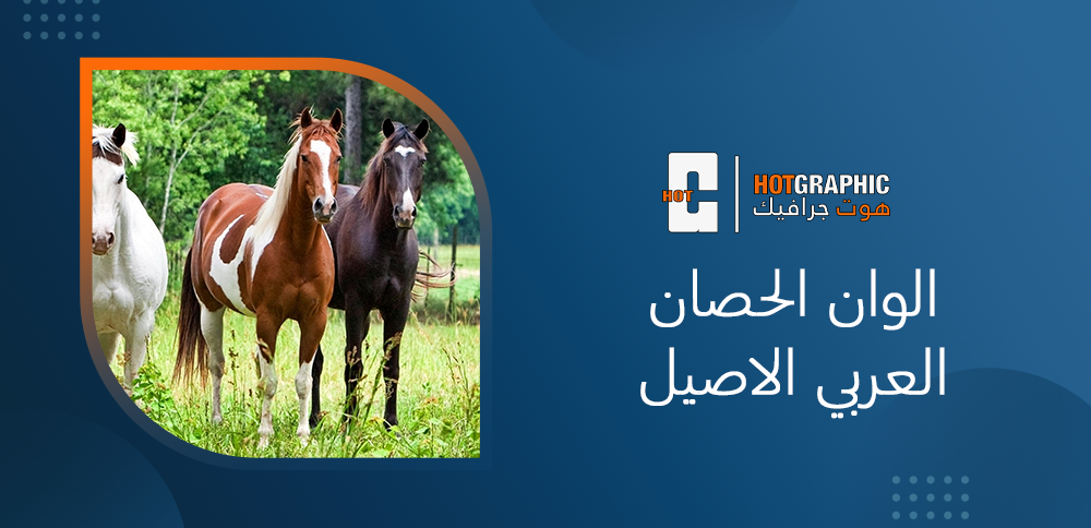 الوان الحصان العربي الاصيل