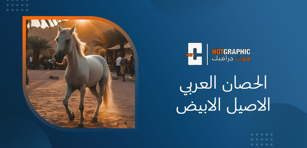 الحصان العربي الاصيل الابيض