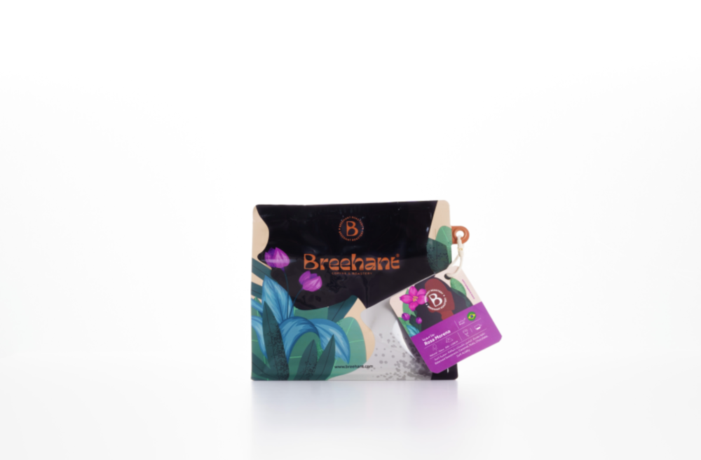 روزا مورينا  البرازيل بريهانت