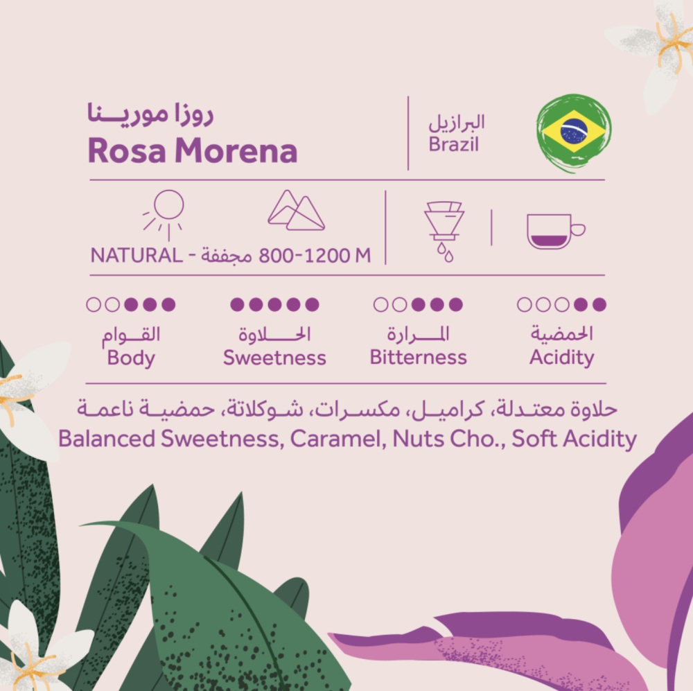 روزا مورينا  البرازيل بريهانت