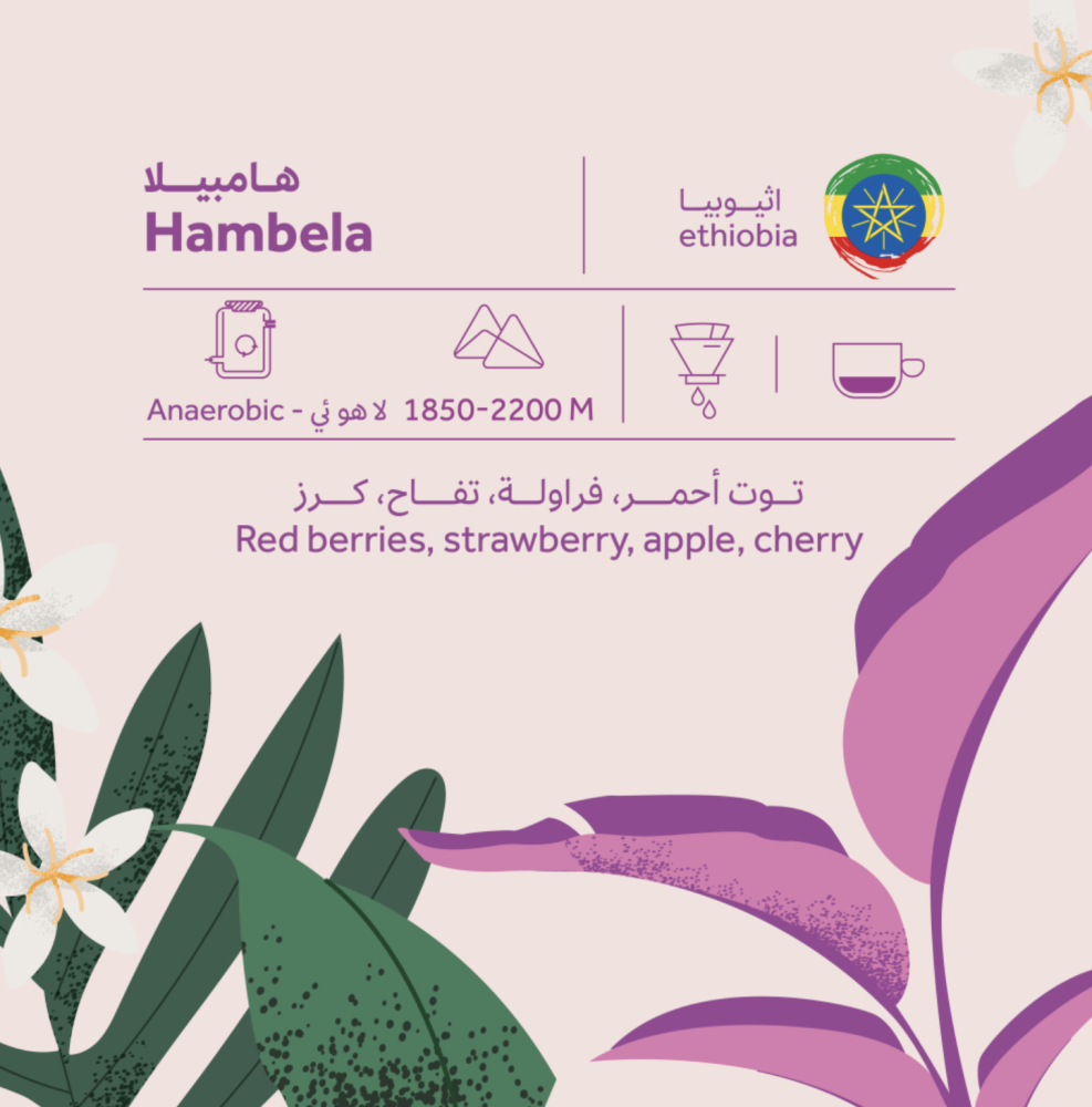 هامبيلا قوجي  اثيوبيا بريهانت محصول فاخر