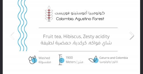 كولومبيا اوغستينو فوريست