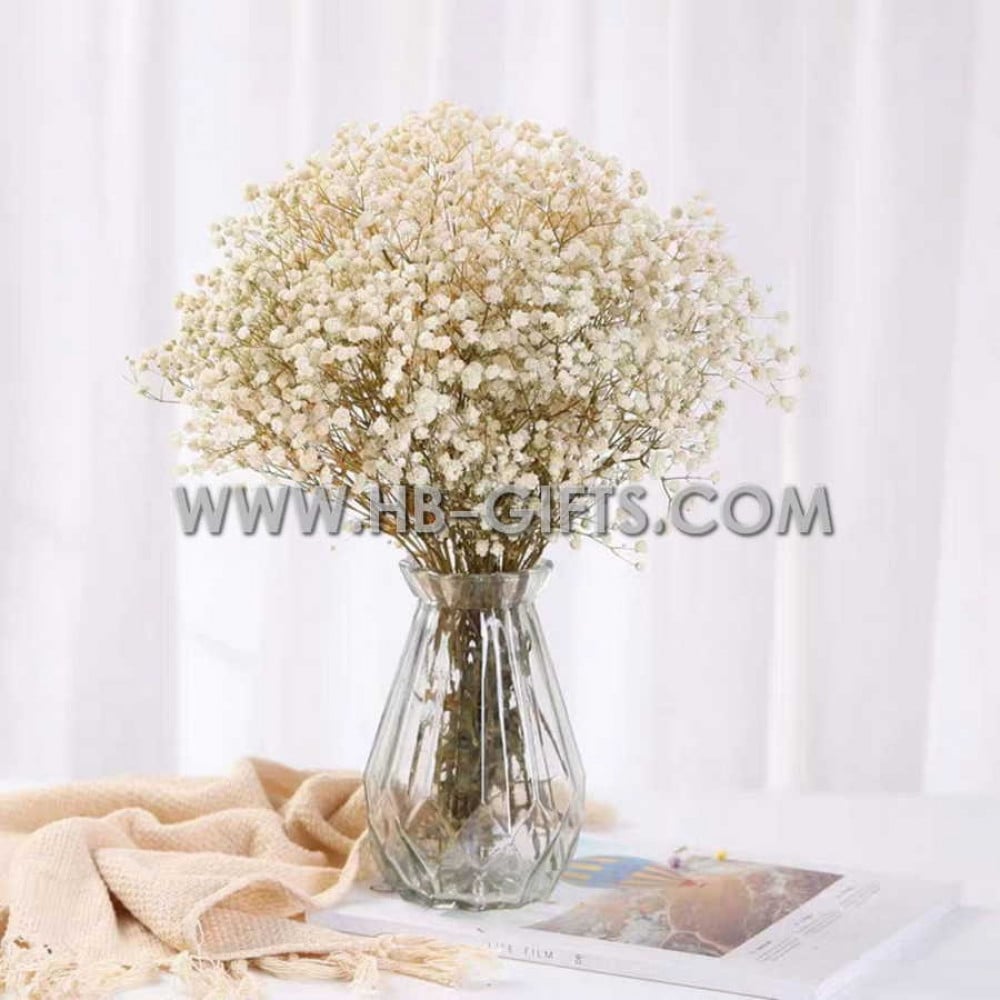 باقة ورد جيبسوفيلا سكري/بيج