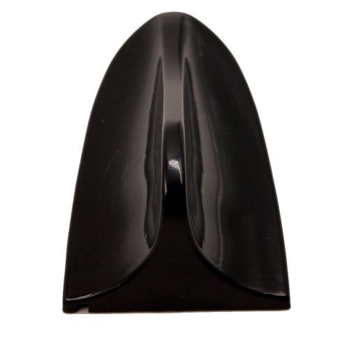 اريل حوت أسود