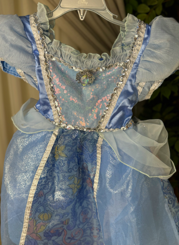 فستان الاميرة سندريلا Cinderella Costume