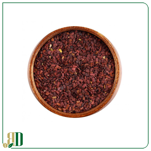 حلبة الخيل الاصلية