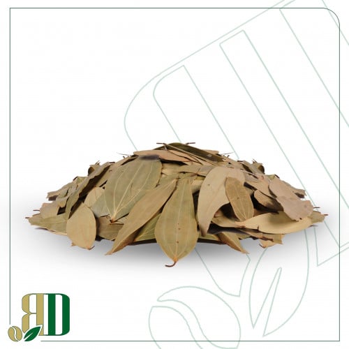ورق غار هندي