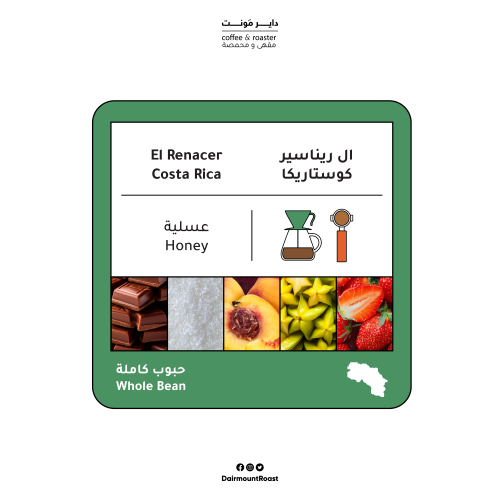 ال ريناسير - كوستاريكا