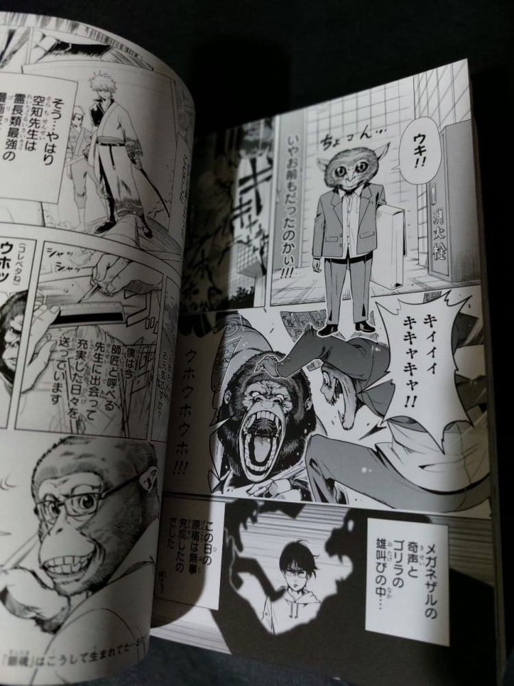 Gintama Official Fan Book