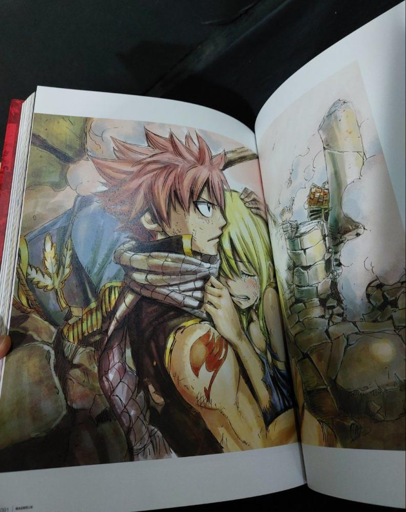FAIRY TAIL ILLUSTRATIONS 1+2+α MAGNOLIA - متجر مانجا