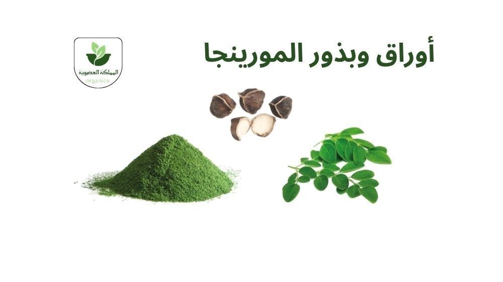 ما هي أوراق وبذور المورينجا