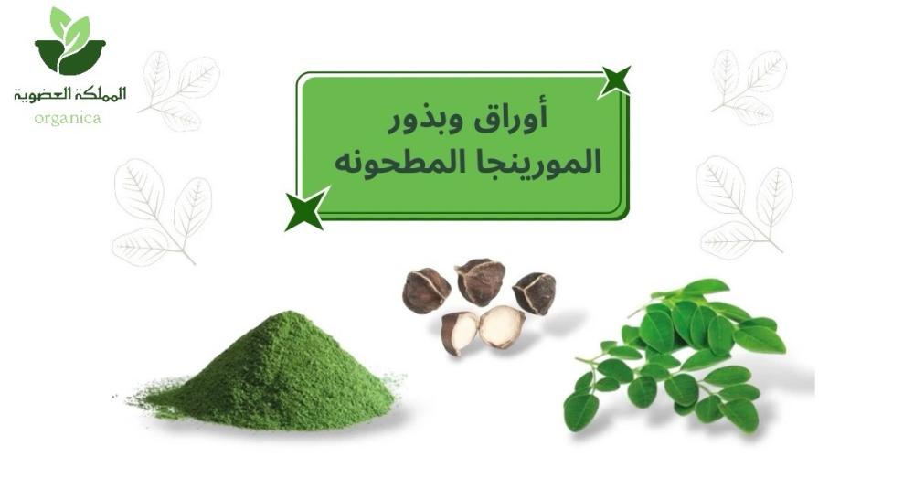ما هي أوراق وبذور المورينجا