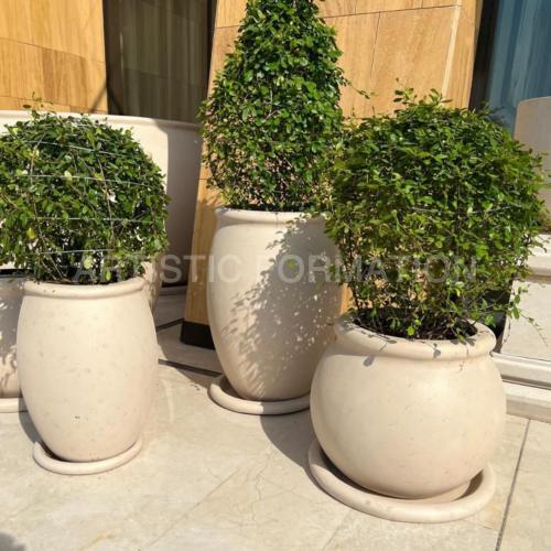 أحواض زراعة دائرية