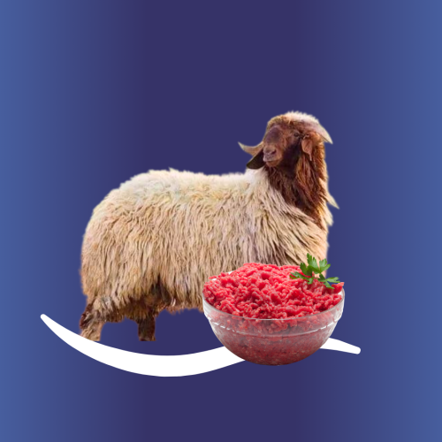 مفروم نعيمي