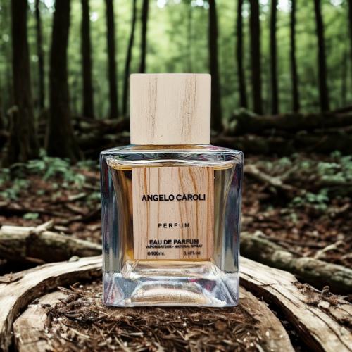 عطر تستر انجيلو كارولي اودي برفيوم رجالي 100مل (كر...
