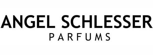 انجل شليسر Angel Schlesser