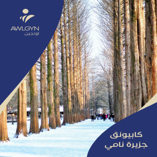 جزيرة نامي ( كابيونق )