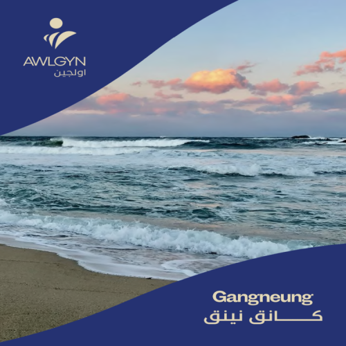 كانق نينق
