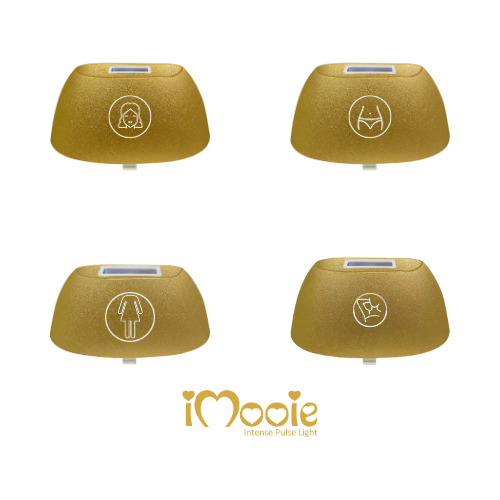 عدسات الإصدار السابع