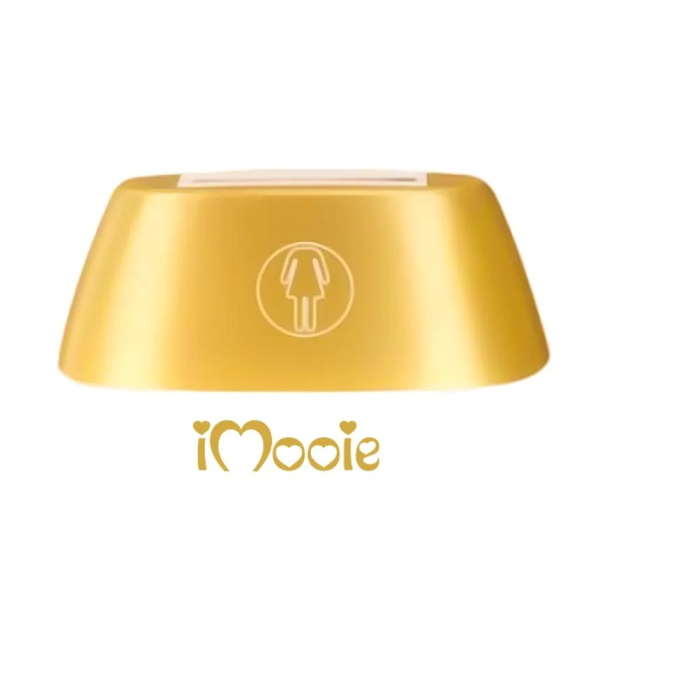 العدسات الاساسية