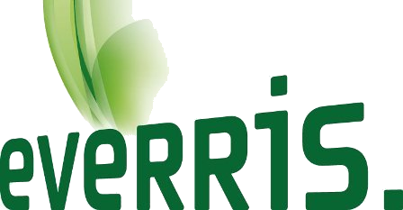 إيفيريس - بلجيكا