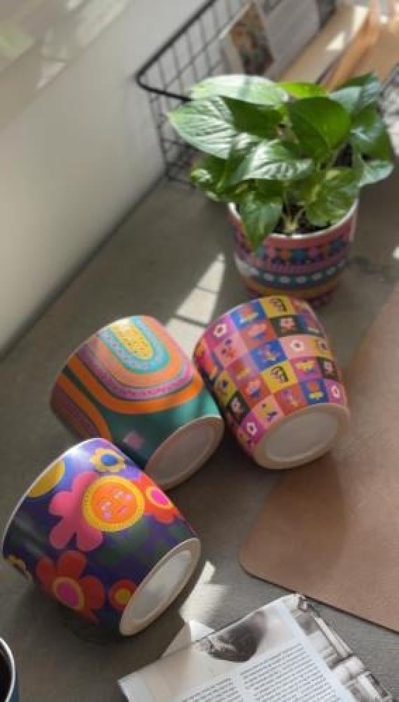 الفرق بين الأصيص الذي يحتوي على فتحة تصريف والأصيص بدون فتحة – أيهما أ