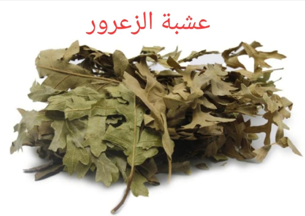 عشبة الزعرور