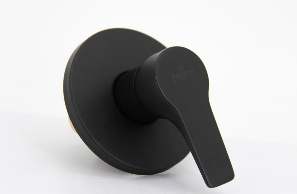 خلاط دش دفن مخرج واحد أسود