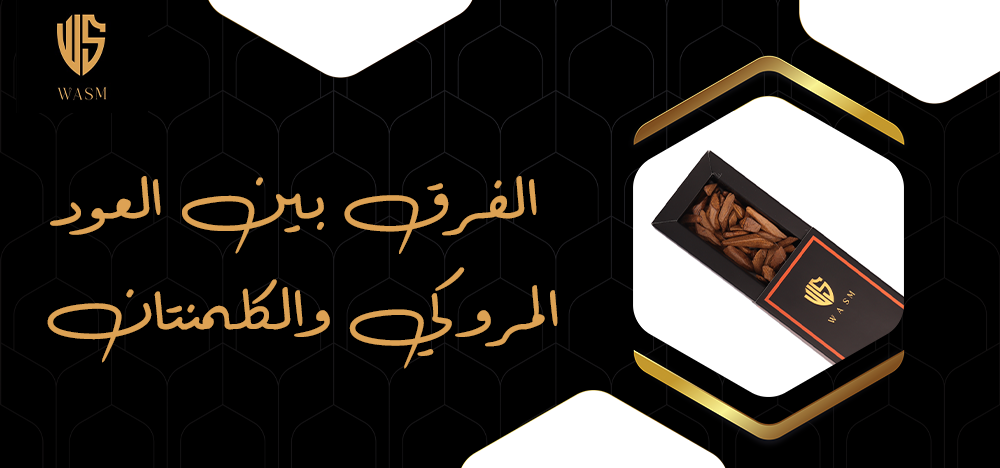 الفرق بين العود المروكي والكلمنتان
