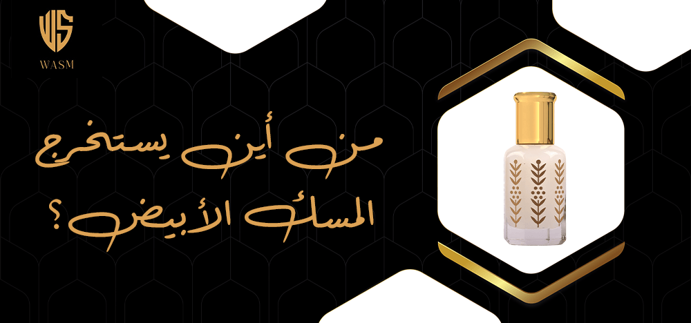 من اين يستخرج المسك الابيض