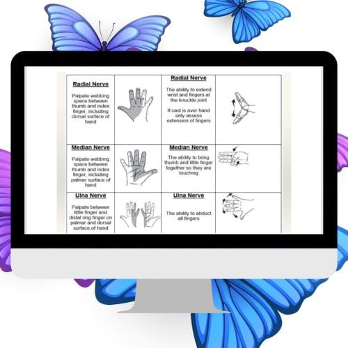 Orthopedic (clinical- surgery) summary