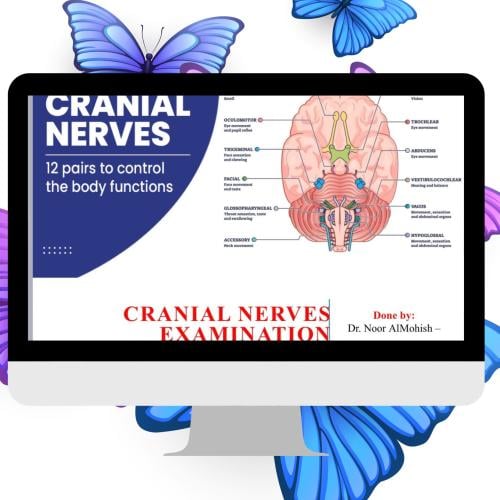 Cranial Nerves Examination