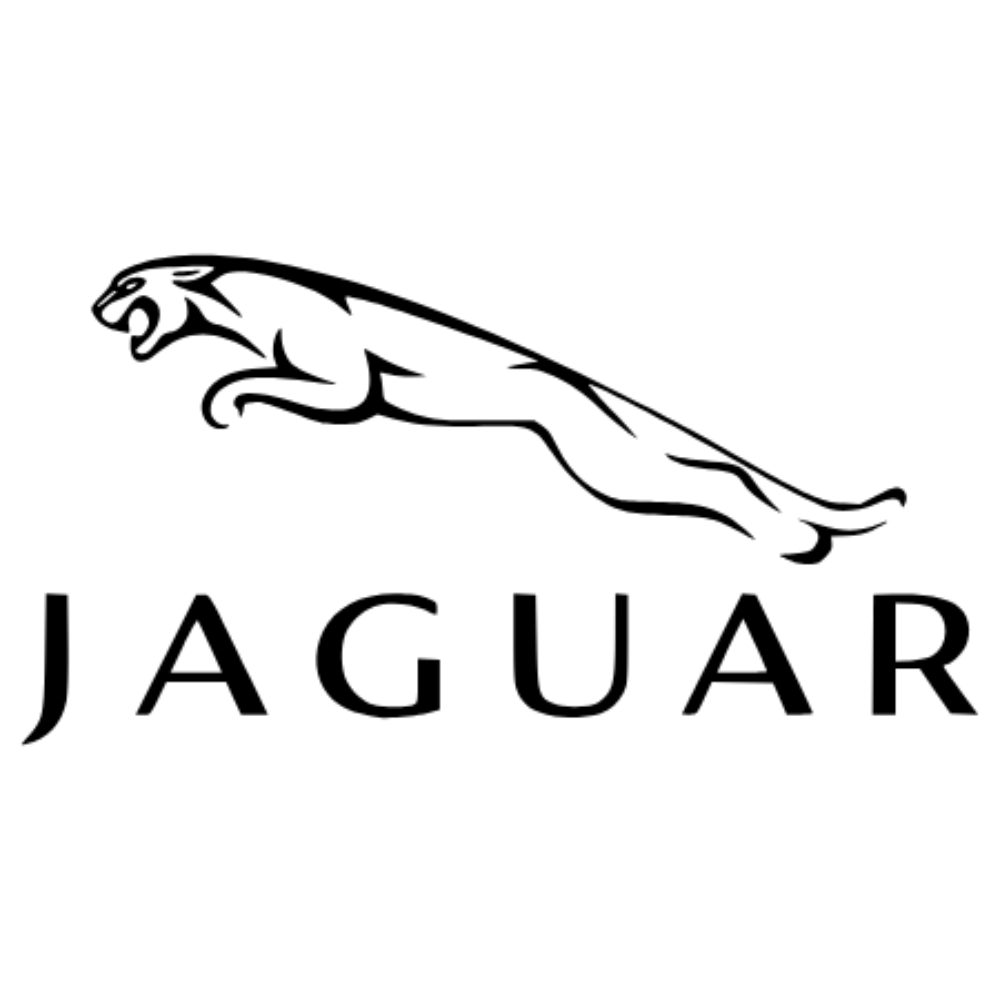 جاكوار / JAGUAR