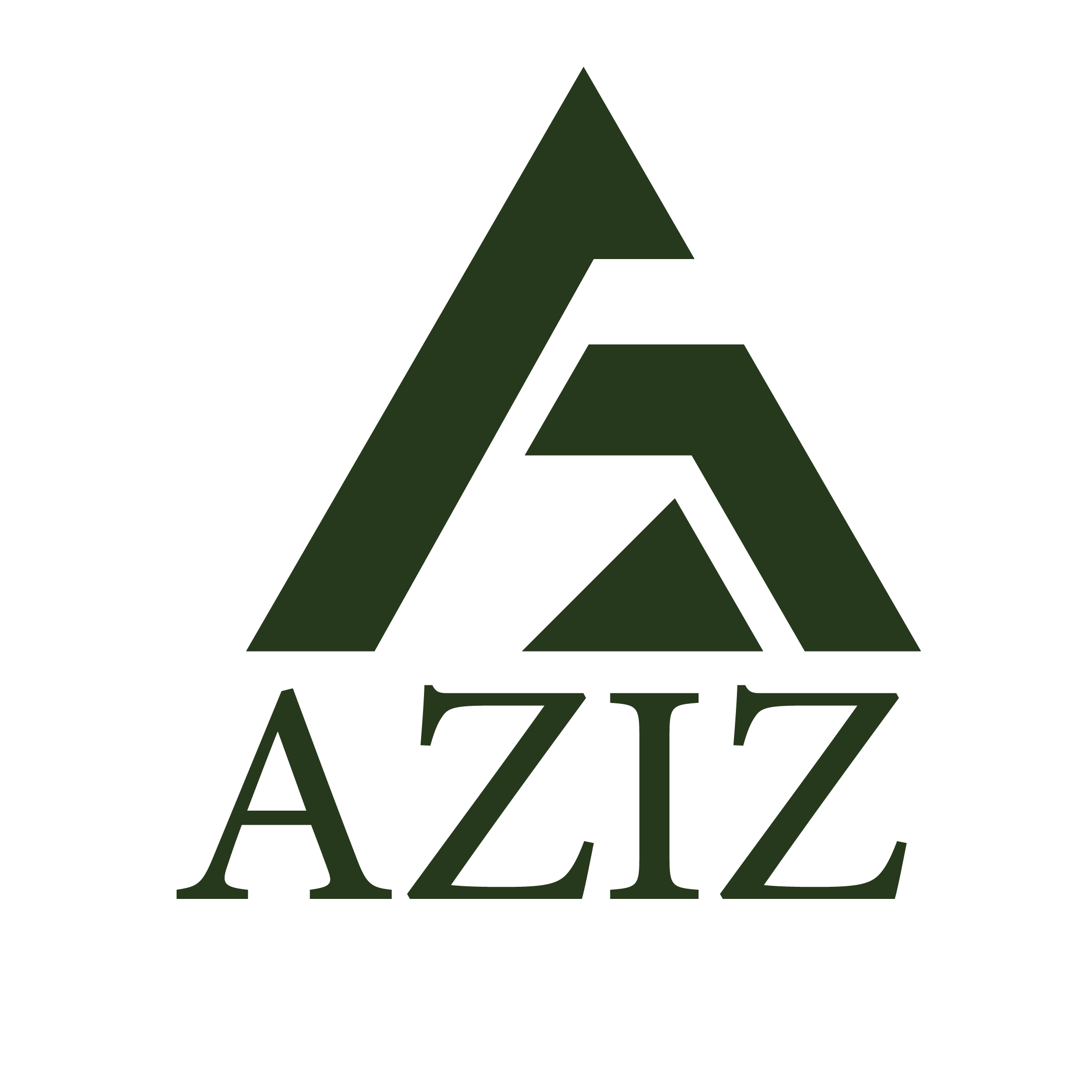 store avatar