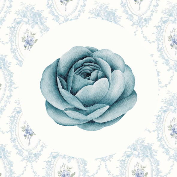 bluepeonyabaya.com favicon