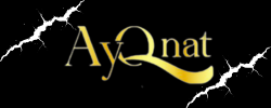 store avatar