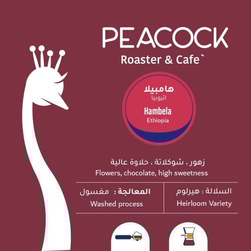 طاووس - هامبيلا اثيوبيا 250g