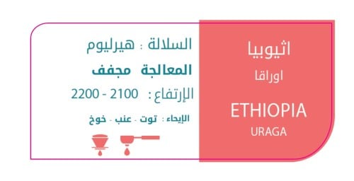 التون -إثيوبيا اوراقا 250G